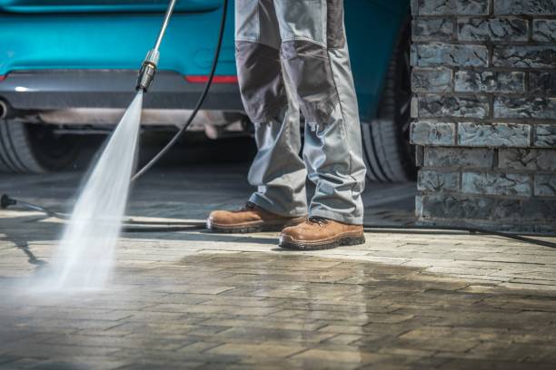 Best Sidewalk and Walkway Cleaning  in Lumberton, TX